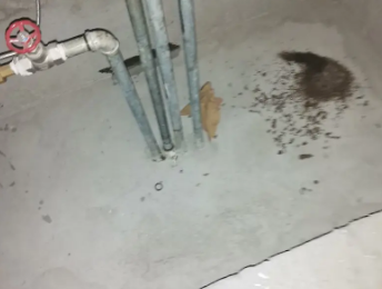 光泽卫生间测漏水价格明细