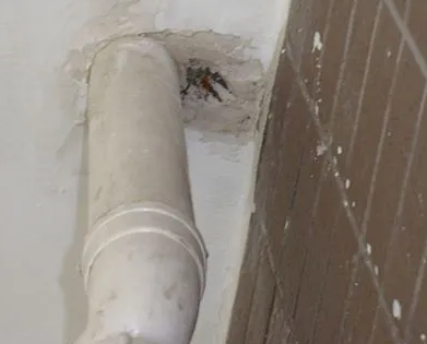 光泽漏水检测哪家好